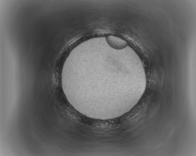 X0000113031207200909171454