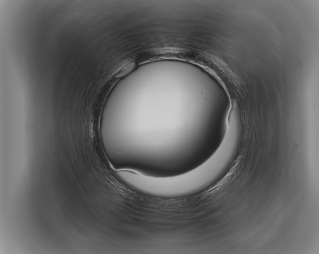 X0000113031209200909171454