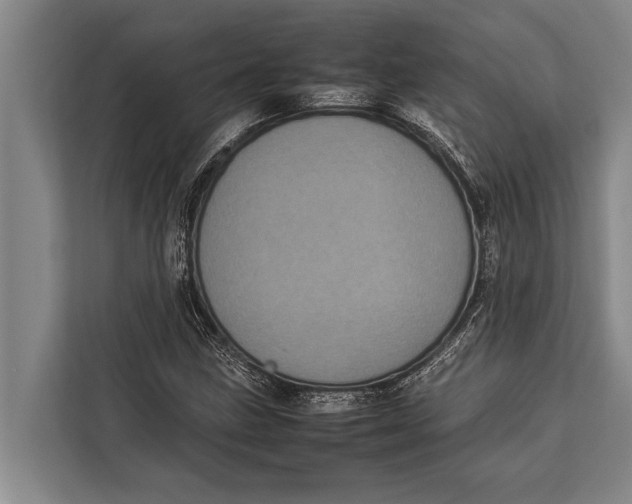 X0000113031211200909171454