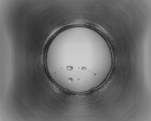 X0000113031216200909171454