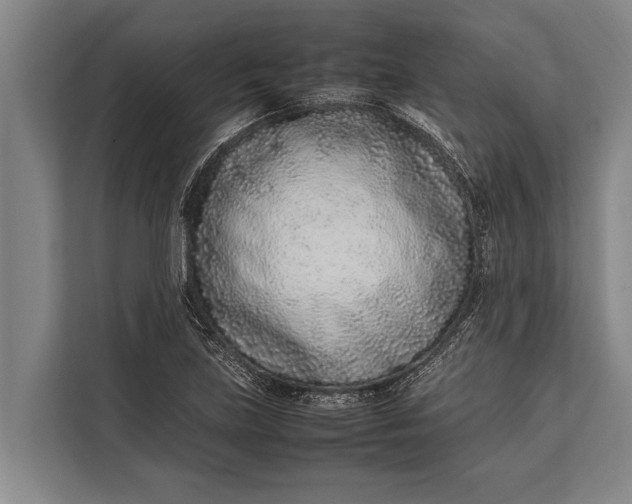 X0000113031219200909171454