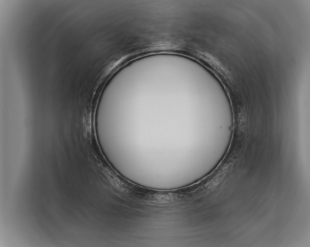 X0000113031220200909171454