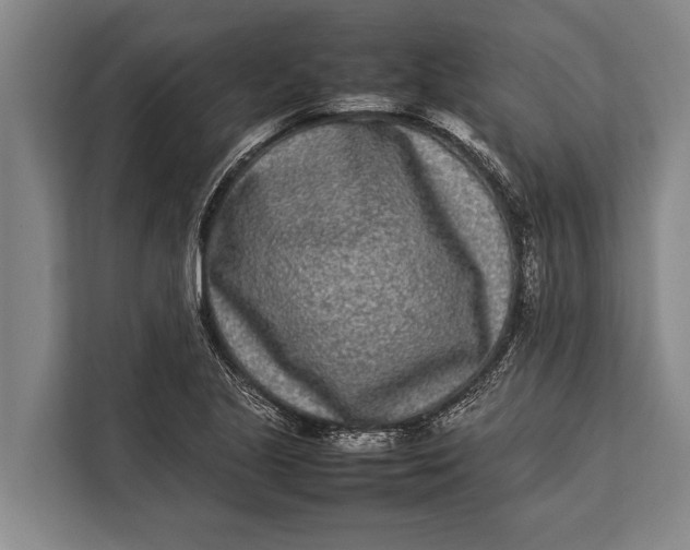 X0000113031221200909171454