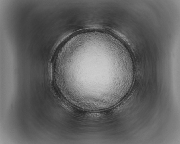 X0000113031223200909171454