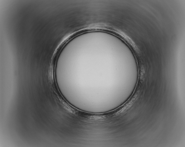 X0000113031224200909171454