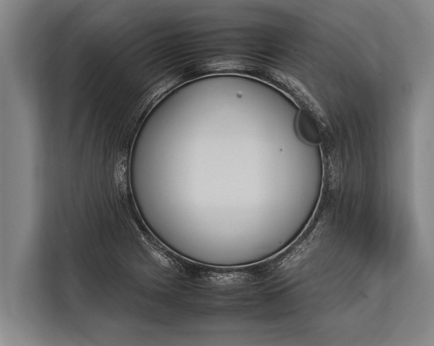 X0000113031225200909171454