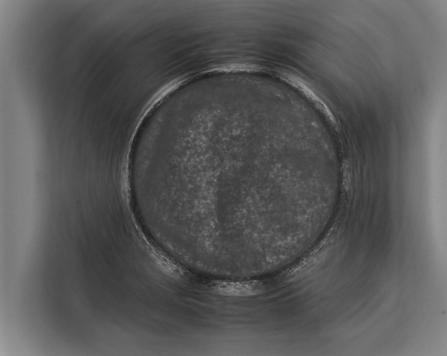 X0000113031229200909171454