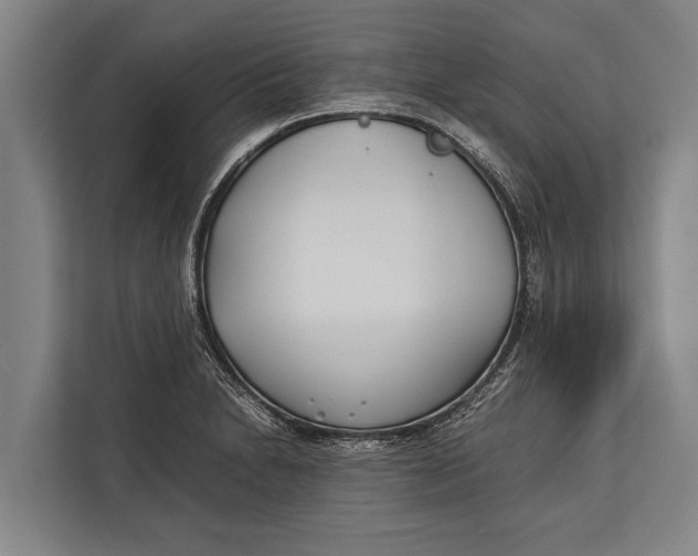 X0000113031230200909171454