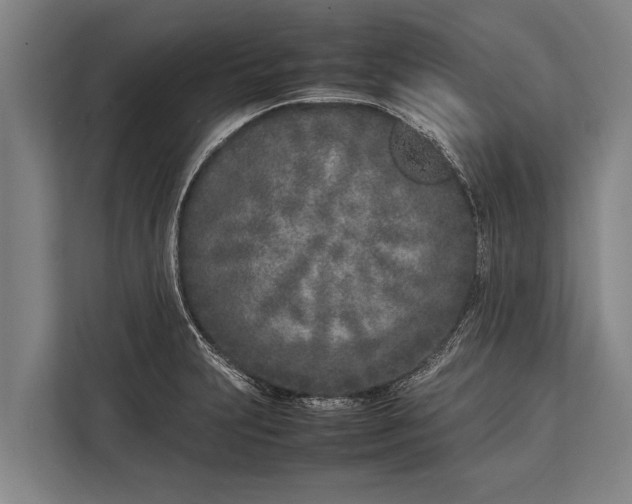 X0000113031231200909171454