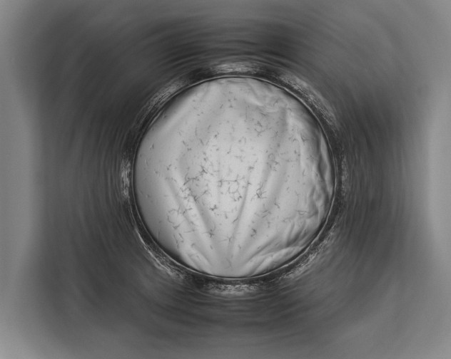 X0000113031233200909171454