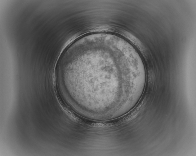 X0000113031234200909171454