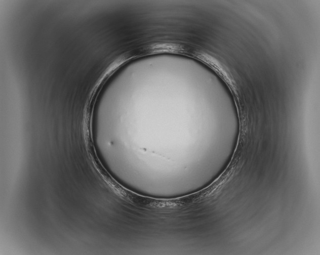 X0000113031235200909171454