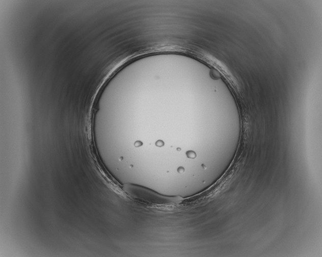 X0000113031236200909171454