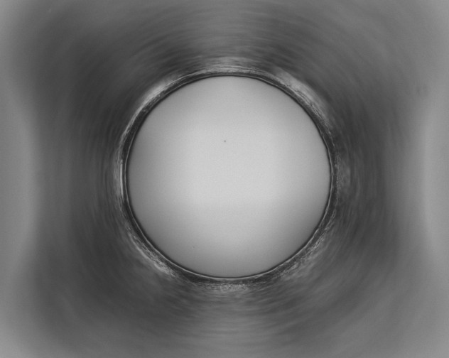 X0000113031238200909171454