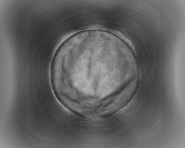 X0000113031239200909171454