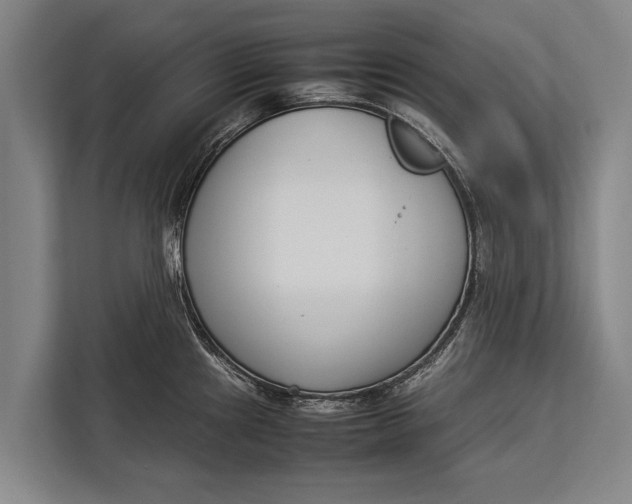 X0000113031241200909171454