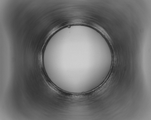 X0000113031242200909171454