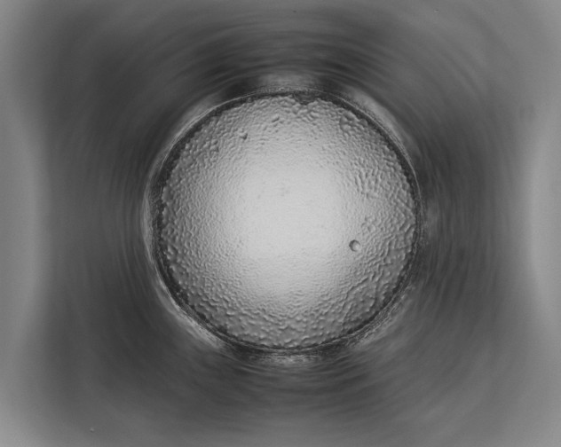 X0000113031243200909171454