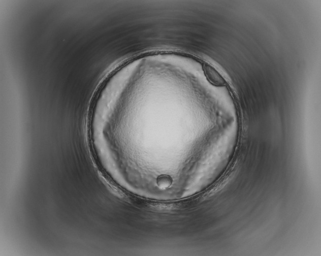 X0000113031245200909171454