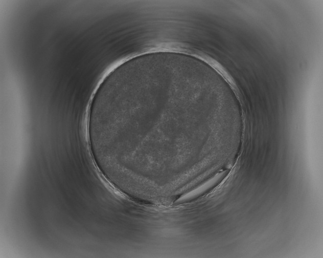 X0000113031246200909171455