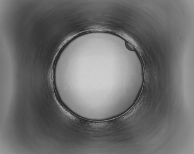 X0000113031247200909171455