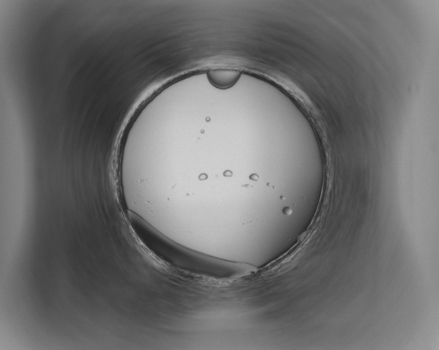 X0000113031248200909171455