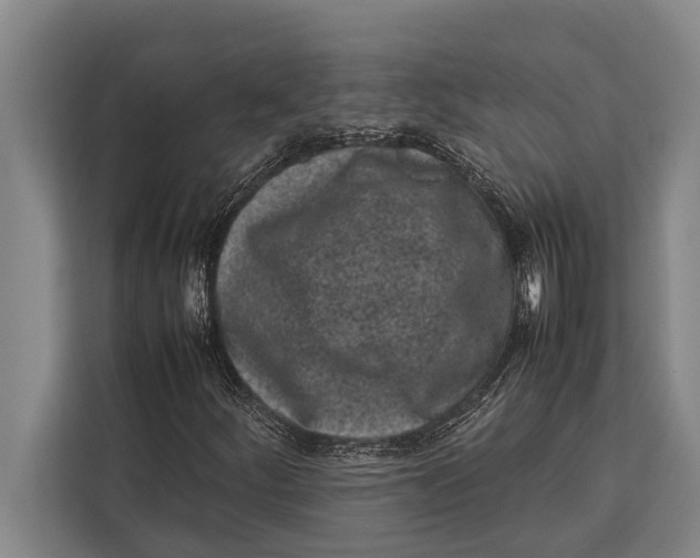 X0000113031252200909171454