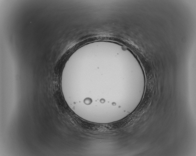 X0000113031255200909171454