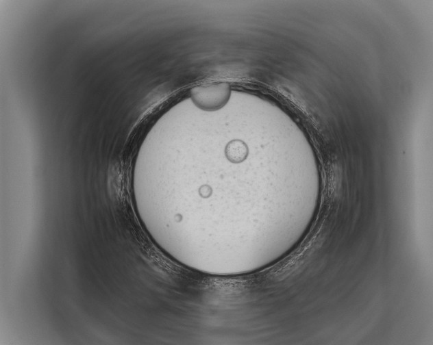 X0000113031258200909171454