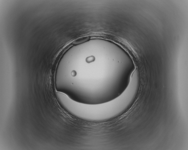 X0000113031260200909171454