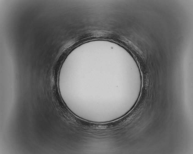 X0000113031261200909171454