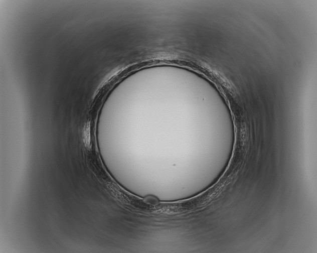 X0000113031262200909171454