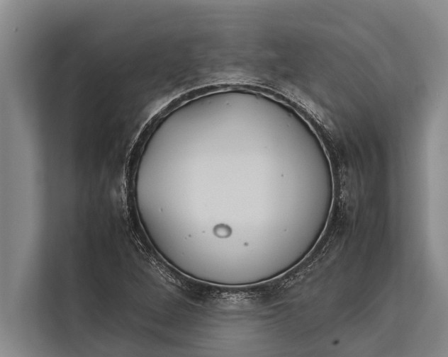 X0000113031264200909171454