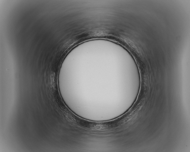 X0000113031265200909171454