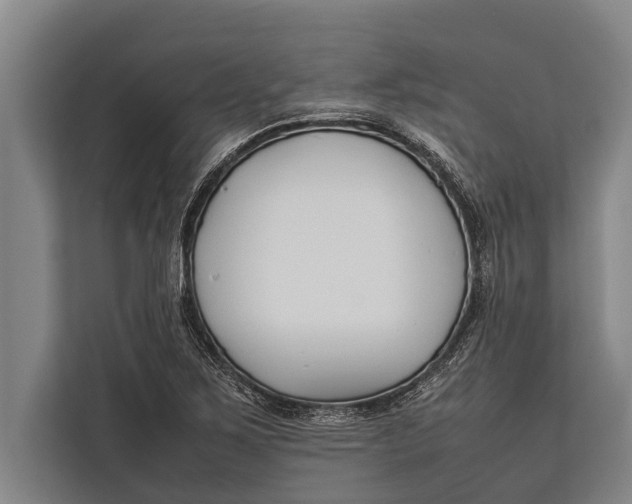 X0000113031267200909171454