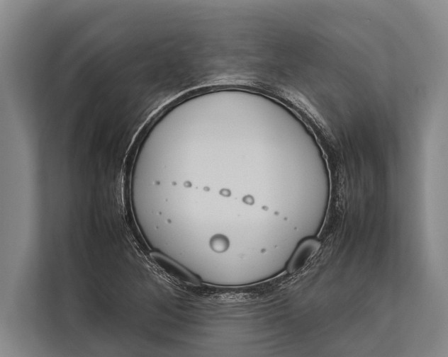 X0000113031268200909171454