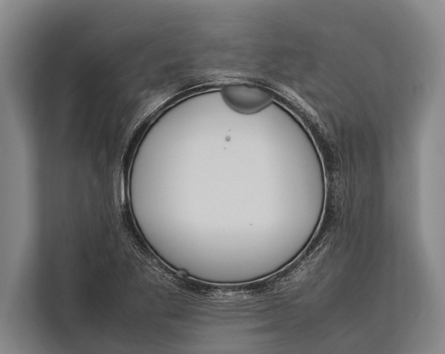 X0000113031269200909171454