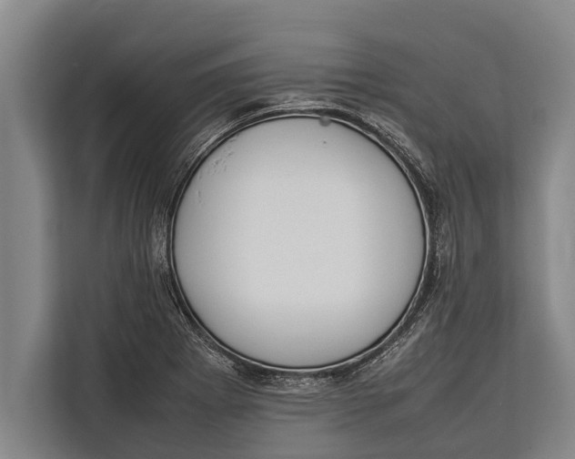 X0000113031273200909171454