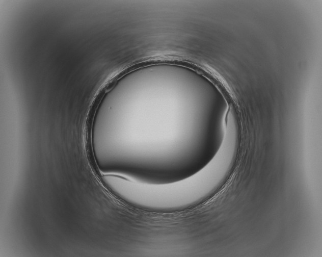 X0000113031277200909171454