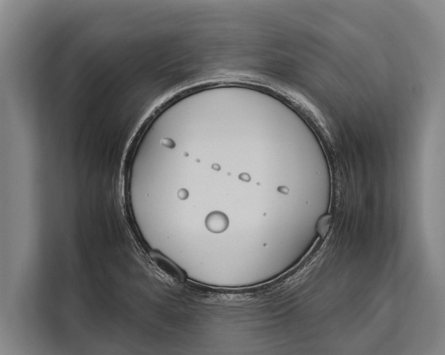 X0000113031280200909171454