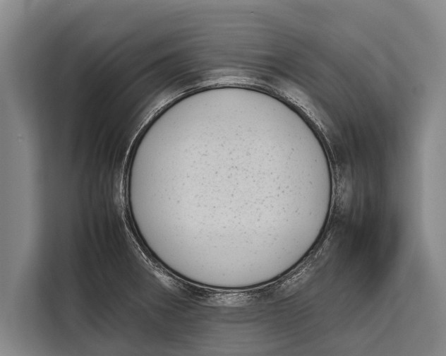 X0000113031282200909171453