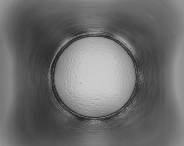 X0000113031283200909171453