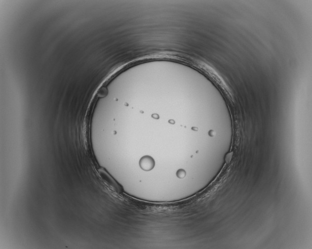 X0000113031284200909171453