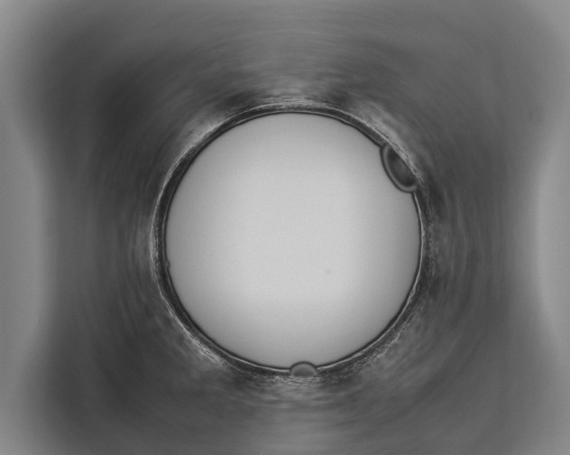 X0000113031285200909171453