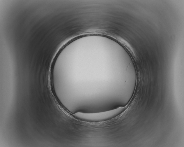 X0000113031288200909171453