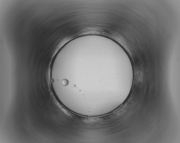 X0000113031290200909171453