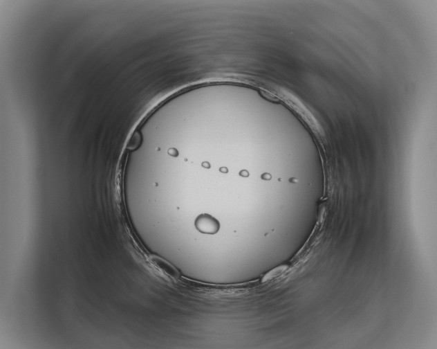 X0000113031292200909171453