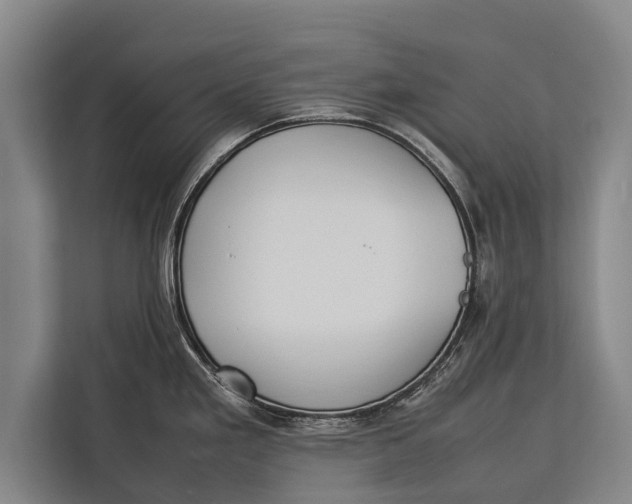 X0000113031293200909171453