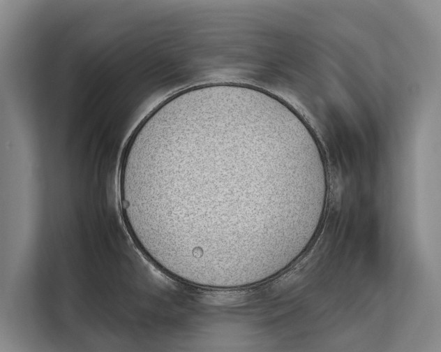 X0000113031294200909171453