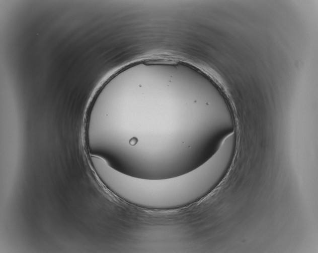 X0000113031296200909171453